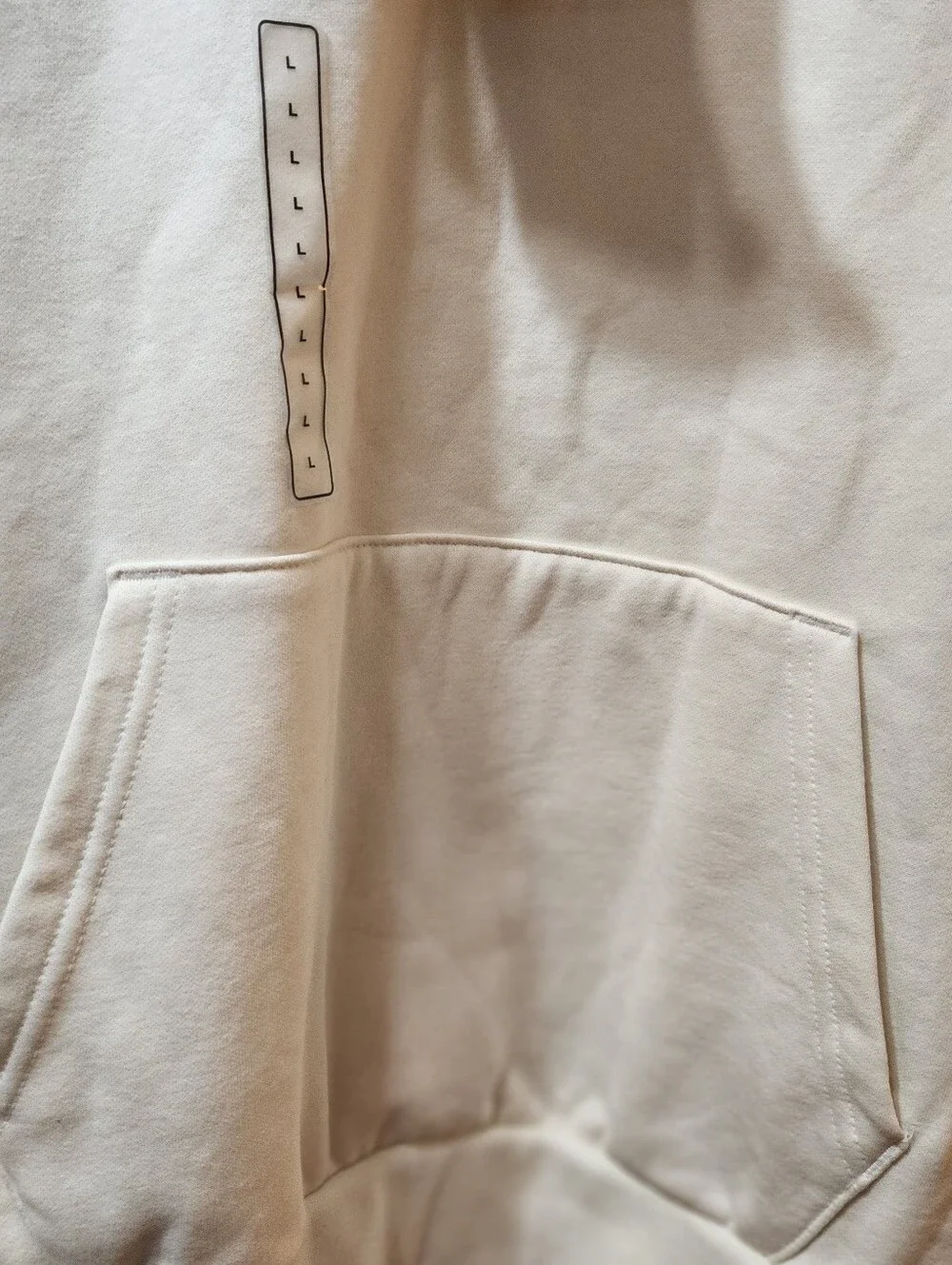 NWT The Northface Mens Evolution Hoodie